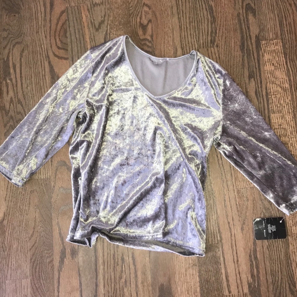 NWT Velvet Grey Top
